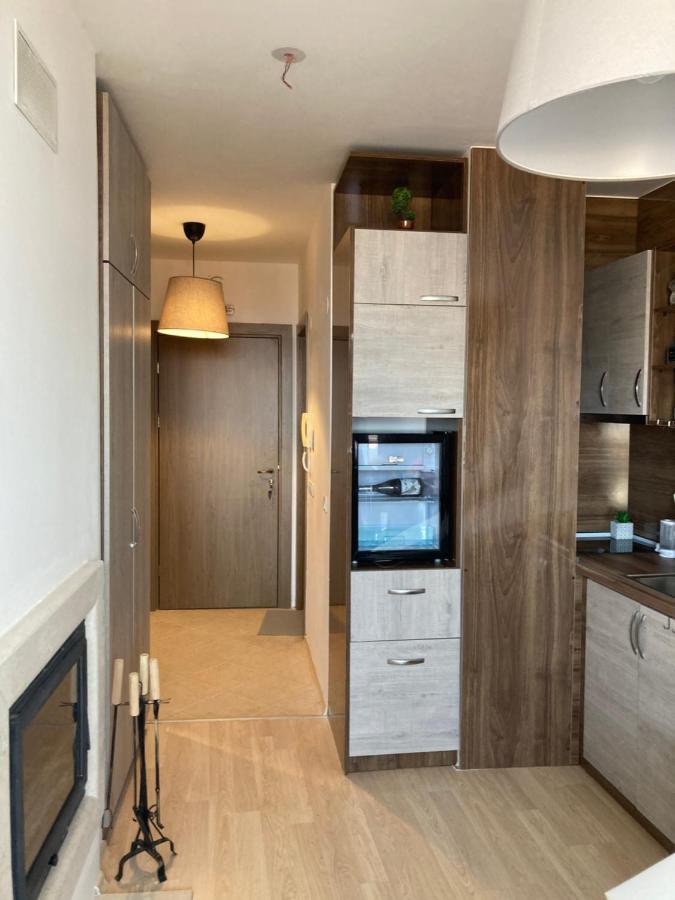 Mirabell Studio Bansko - Amazing View & Fireplace Luaran gambar