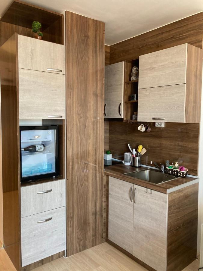 Mirabell Studio Bansko - Amazing View & Fireplace Luaran gambar