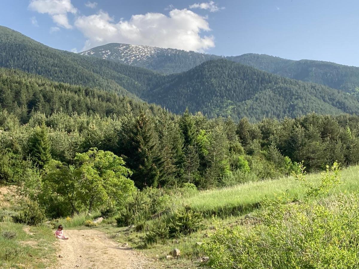 Mirabell Studio Bansko - Amazing View & Fireplace Luaran gambar